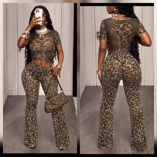 Cheetah, Solid Pant set