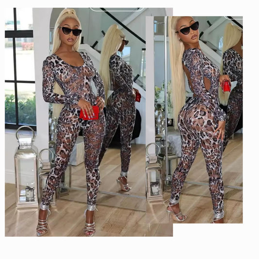 Mesh Backout Jumpsuit