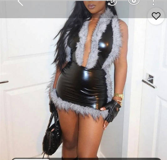 Fur Trim Dress
