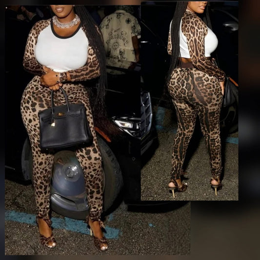 Cheetah Pant Set