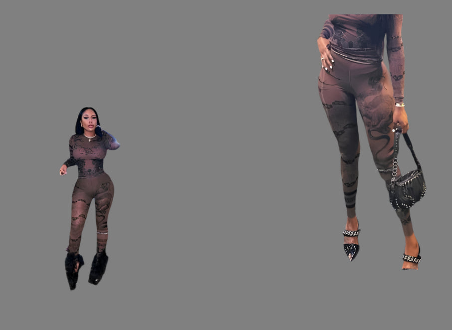 Long Sleeve Mesh Pant set